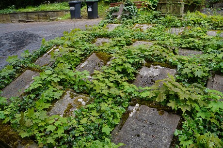 Bad Godesberg
